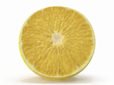  Lemon Slice 