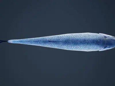 White Fish with Swimming Animation Low-poly 3D model