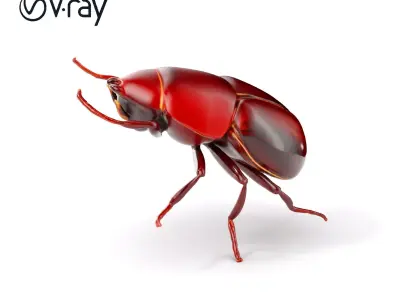 Realistic Beetle Model Pack for Rendering and Games Low-poly 3D model
