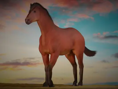 Horse 3D model 5