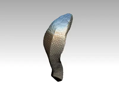 Cobra Snake Head part 3D print model
