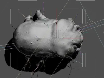 Dust Mite 3D model
