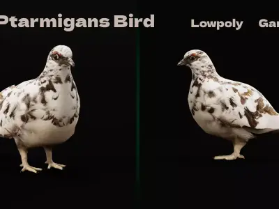 Rock Ptarmigans Bird Free low-poly 3D model