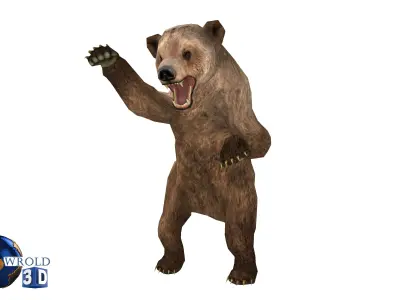 Animal Bear Rigged-Animated Pack Lowpoly 3d model Low-poly 3D model
