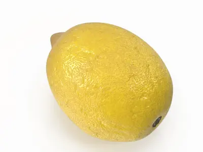 Lemon  purchase 3D model