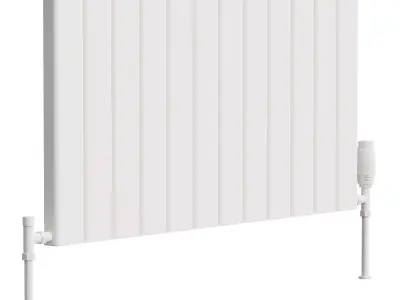 Reina Vicari Designer Radiator 3D model