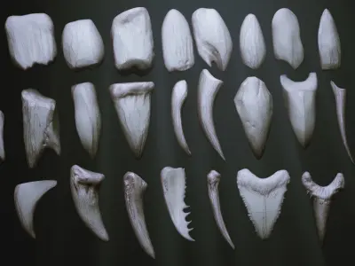 TEETH - Zbrush 24 Assorted Teeth IMM Brush plus OBJs 3D model