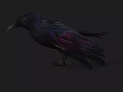 Raven A3 Free 3D model