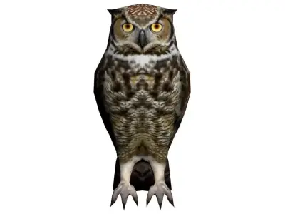 Owl model great horned 3D model