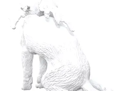 CAT DEATH STRANDING 2 ON THE BEACH 3D model