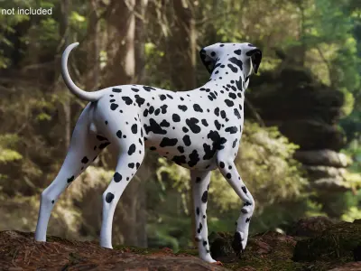 Spotted Standing Dalmatian Dog 3D model