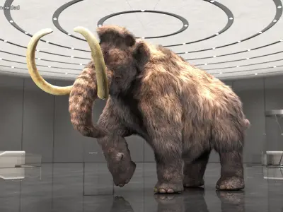  Mammoth Adult Fur Rigged 