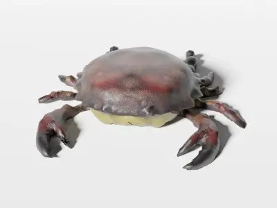 Crab lowpoly Low-poly 3D model