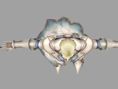 Assassin person from final fantasy xiv Low-poly 3D model