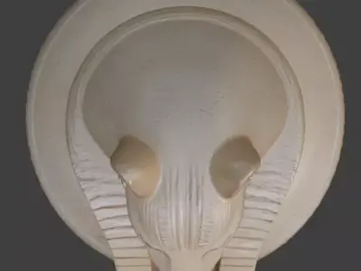 Ancient Egyptian Canopic Jar Asset 3D model