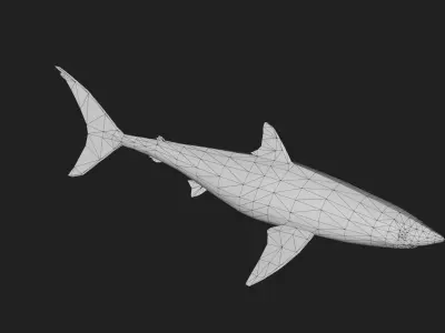 Shortfinmakoshark Low-poly 3D model