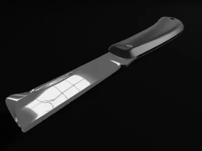 Budding knife Free 3D model