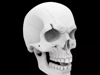 Minimalist Mechanical Skull 3D Print Model 3D print model