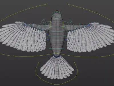 Great Tit- Body Mesh with rig and shaders 3D model