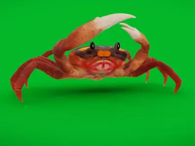 Halloween Moon Crab Free 3D model