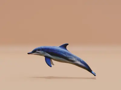 Dolphin white and smooth skin Fish Low-poly 3D model