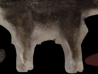 wolf lowpoly eye with circle in middle Low-poly 3D model
