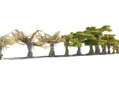 Dragon Tree Pack HD 3D model