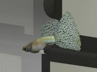 Aquarium 4K 3D model
