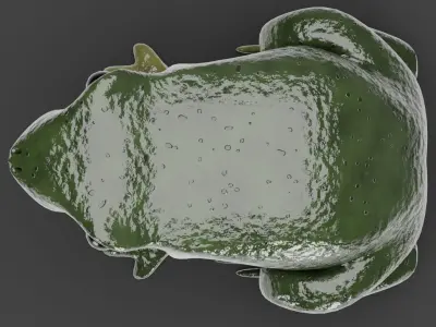 Green frog 3D model
