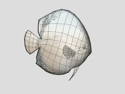 Discus  Realistic Animated Low-poly 3D model buy