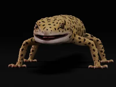  4K Leopard Gecko 
