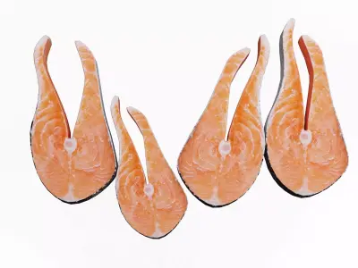Salmon Fish 3D model get