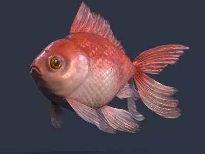 Low Poly Goldfish Low-poly 3D model