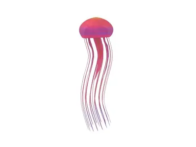 Jellyfish 3D model shop