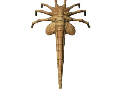 Facehugger 3D model