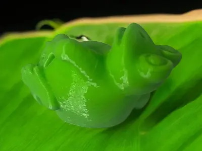Frog cool 3D print model