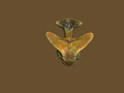 tropical insect bug Low-poly 3D model