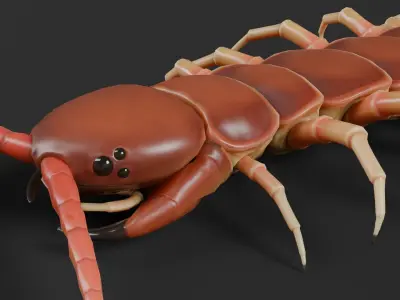 Centipede RIG Blender and Maya Free low-poly 3D model