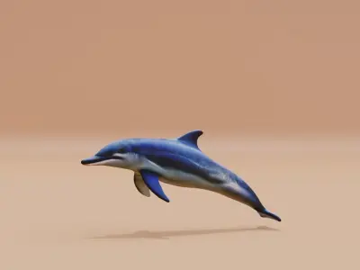 Dolphin white and smooth skin Fish Low-poly 3D model