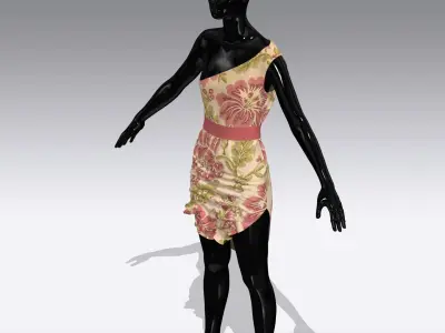  Woman Cloth Dress Low-poly 3D model get