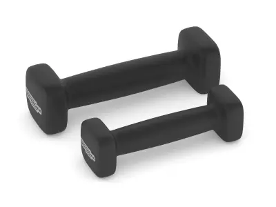 Technogym Accessories Bike Weights 3D model