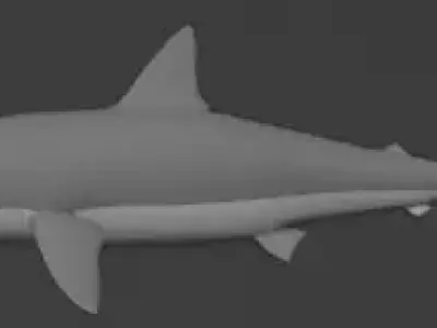 SHARKS 3D model