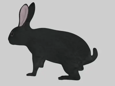 Black Rabbit low poly rigged Low-poly 3D model