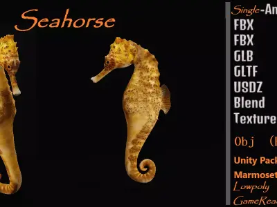 Seahorse Fish Low-poly 3D model purchase