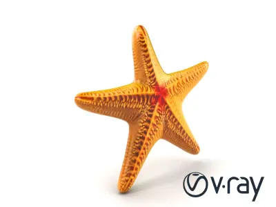 Textured Starfish Marine Creatures model pack Low-poly 3D model