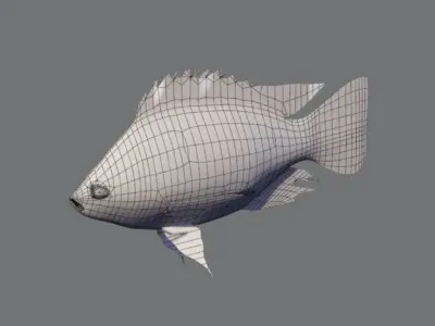 Tilapia fish Low-poly 3D model