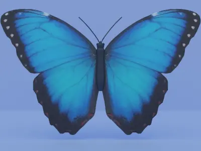 Blue Morpho Butterfly Low-poly 3D model