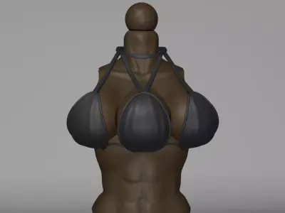 Triple Legion Body Part and Clothing 3D print model