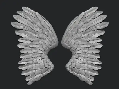 Wing -art 3D print model