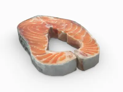 Salmon piece of 3D model